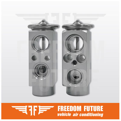 Thermostatic Expansion Valve AC Car 31369447 Fits For 2016 Volvo V40